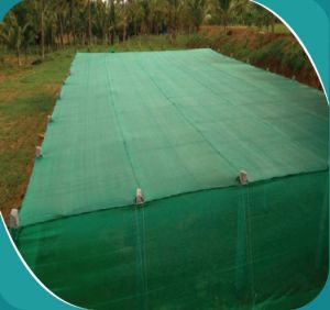 Prefab Square Low Cost Shade Net House