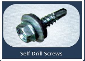 Self Drilling Screw