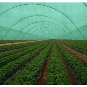 UV Stabilize Green HDPE Shade Net, For Agriculture