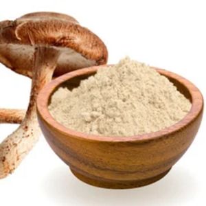 Dry Oyster Mushroom Powder