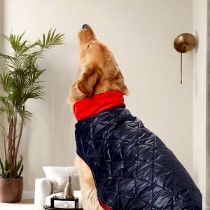 Black Luxe Quilted Dog Jacket with Red Collar
