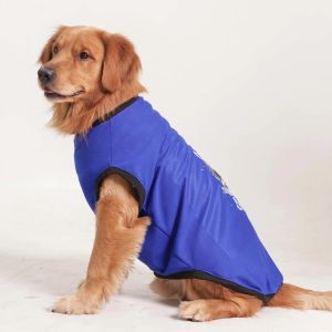 Cute Dog Graphic Printed T-Shirt