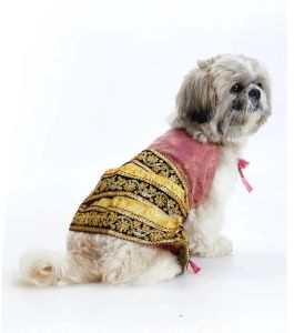 Festive Diva Dog Lehenga
