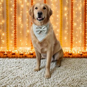 Mint Whirl Festive Dog Bandana