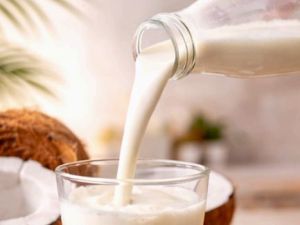 Natural Pure Coconut Milk