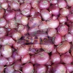 Export Quality Fresh Pink Onion
