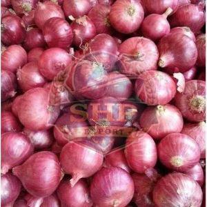 Nashik Fresh Pink Onion