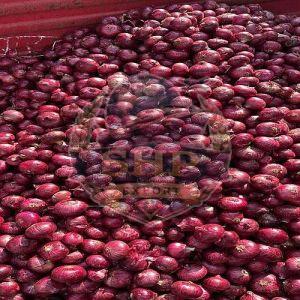 Nashik Fresh Red Onion