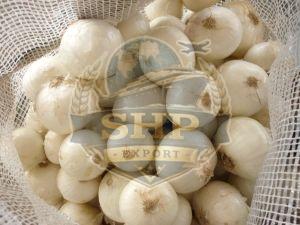 Natural White Onion