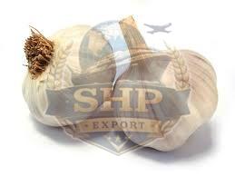 Organic Fresh Garlic