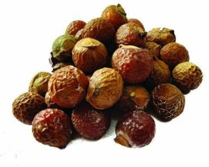 Dried Reetha Nut