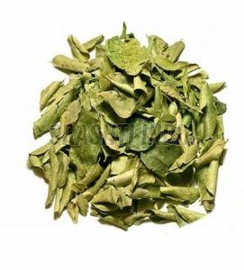 Dried Curry Leaves