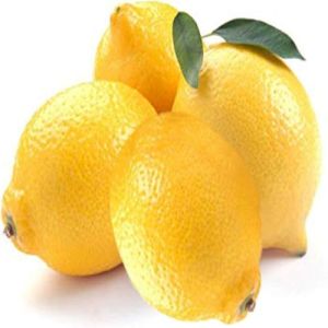 Farm Fresh Juicy Yellow Lemon