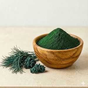 Dehydrated Spirulina Powder