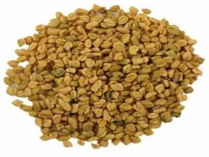 A Grade Fenugreek Seed
