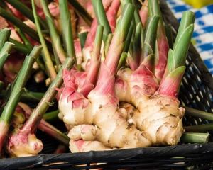 Fresh Organic Ginger Roots