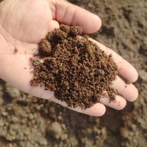 Bio Fertilizer Powder