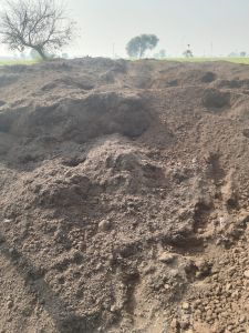 Bio Fertilizer Powder