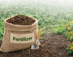 Bio Fertilizer Powder