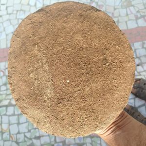 Cow Dung Cake