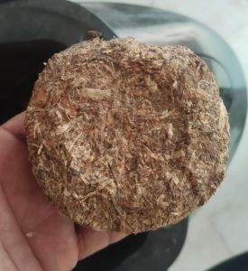 Cow Dung Cake