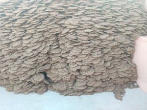 Cow Dung Cake