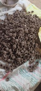 Cow Dung Diya
