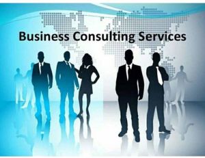 Business Consulting Service