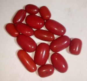 Natural Red Coral