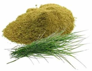 Organic Arugampul Powder