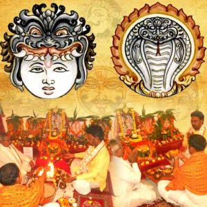 Rahu Ketu Peyarchi Dosha Parikara Pooja Homam