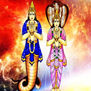 Seivinai Eval Pilli Sunyam Removal Pooja Homam