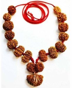 Rudraksha Siddhi Mala