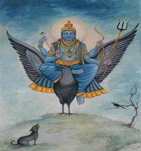 Shani Peyarchi Homam Pooja Service