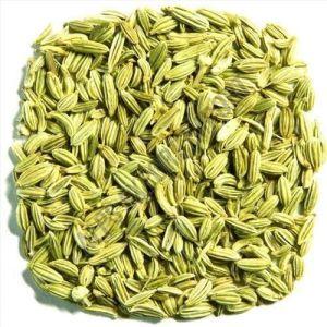 A Grade Fennel Seeds
