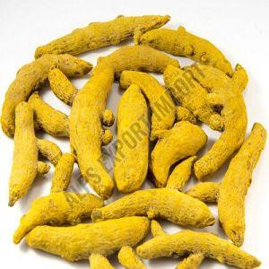 A Grade Turmeric Finger