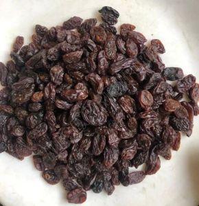 Brown Dried Raisins