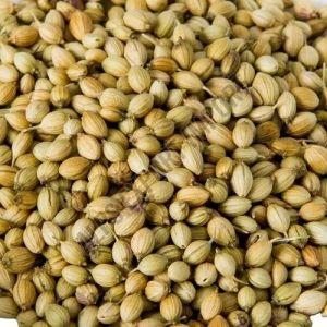 Coriander Seeds