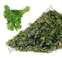 Dehydrated Coriander Leaves