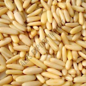 Pine Nuts