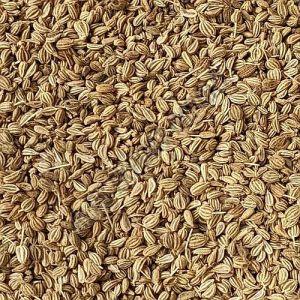 Premium Quality Ajwain Seeds