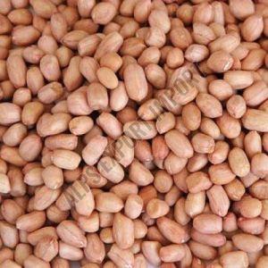 Raw Peanut Kernel