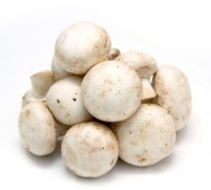 White Button Mushrooms