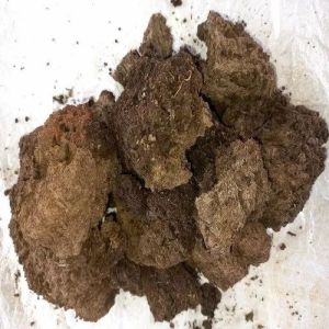 Agricultural Grade Organic Cow Dung