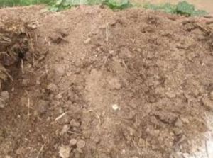 Agricultural Organic Fertilizer Cow Dung