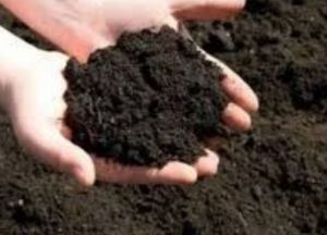 Eco Friendly Farm Use Cow Dung