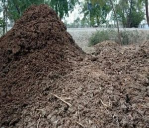 Natural Soil Conditioner Organic Cow Dung