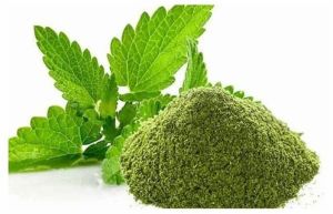 Fresh Pudina Powder
