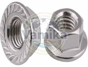Flange Nuts