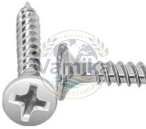Stainless Steel Drywall Screws